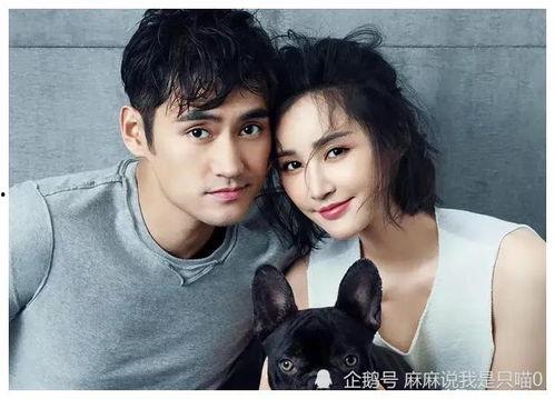 娱乐圈吃瓜小达人是谁,揭秘幕后真相的神秘人物